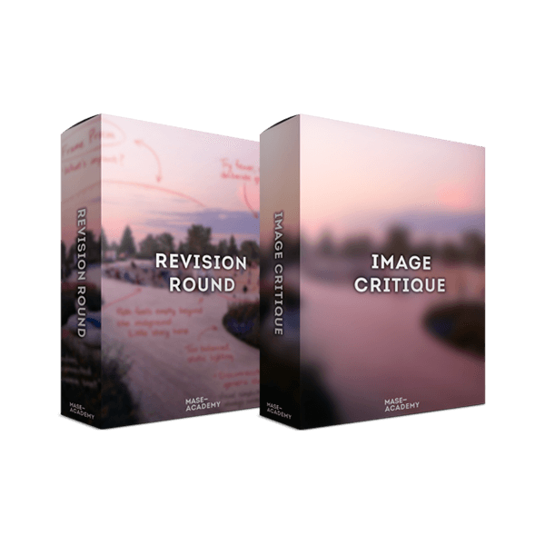 Complete Image Review & Revision — Personal Visual Feedback Bundle